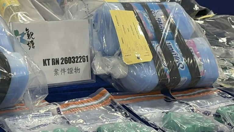 省港旗兵大劫案之狸猫换太子
